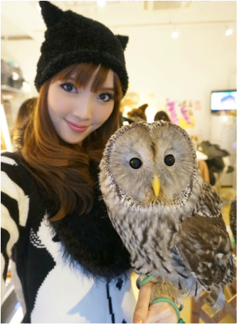 Picture